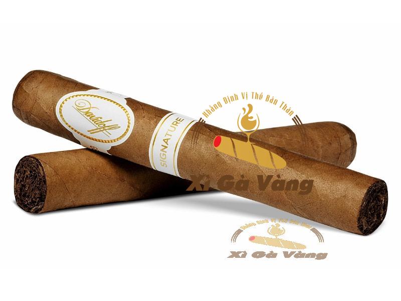 Kết cấu của xì gà Davidoff Signature Petit Corona